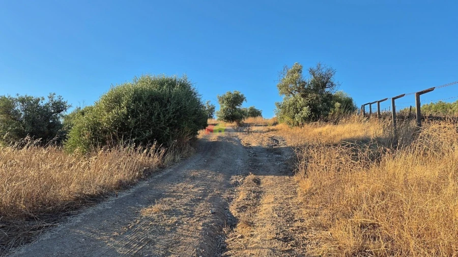 Quinta T1 para Venda em Torrão Foto 2