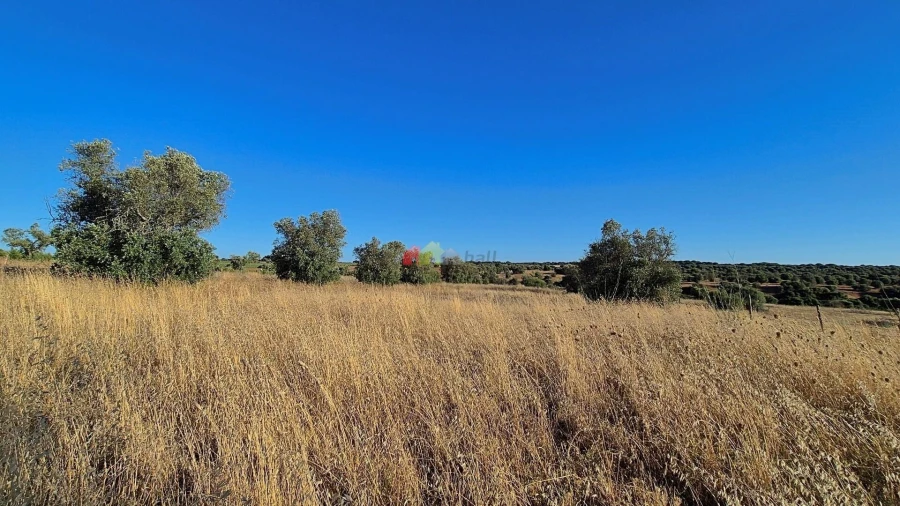 Quinta T1 para Venda em Torrão Foto 3