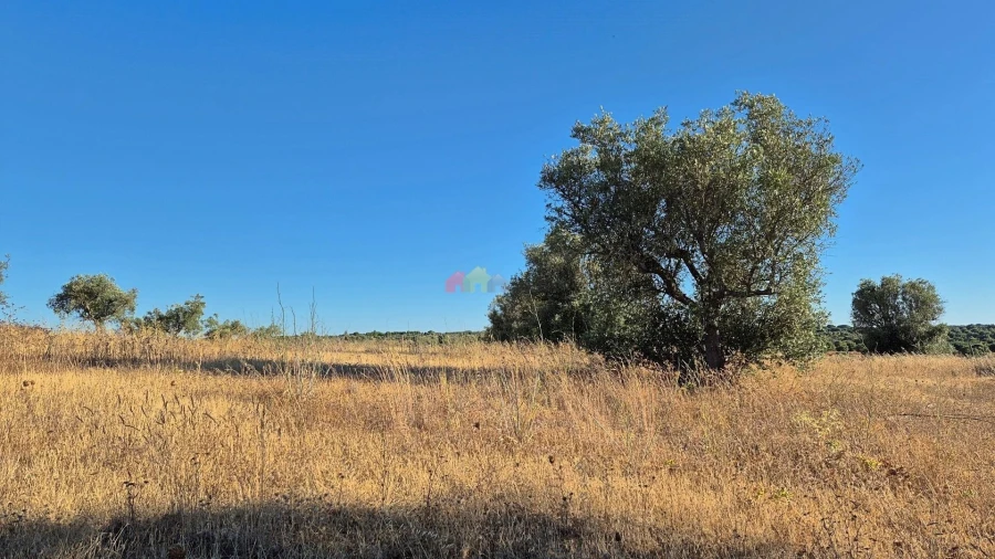 Quinta T1 para Venda em Torrão Foto 23