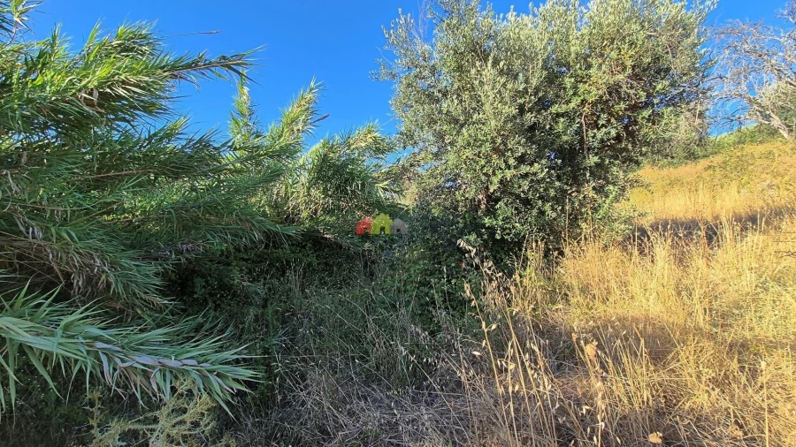 Quinta T1 para Venda em Torrão Foto 15