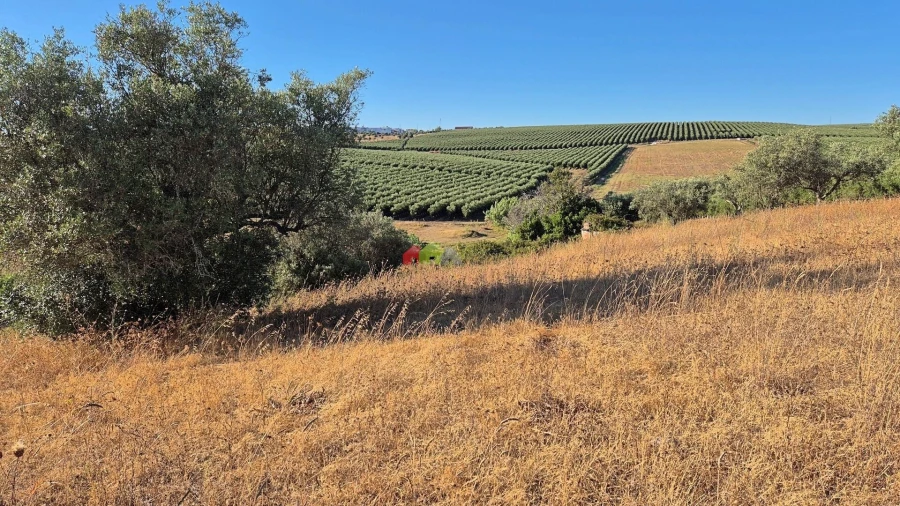 Quinta T1 para Venda em Torrão Foto 19