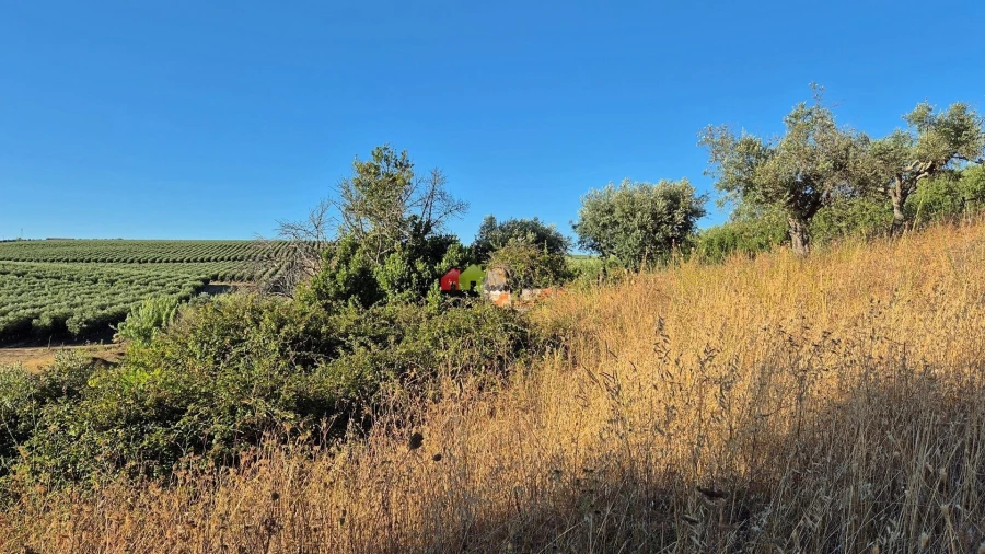 Quinta T1 para Venda em Torrão Foto 10