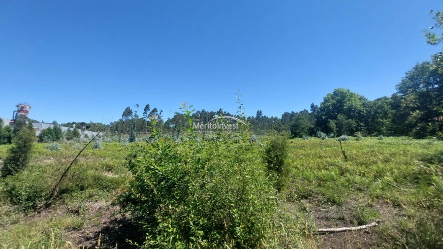 Terreno para Venda em Fragoso Foto 1