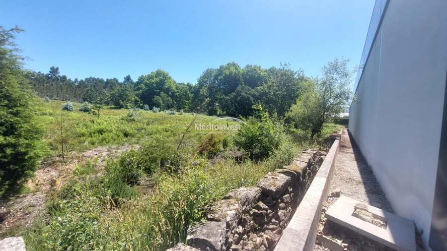 Terreno para Venda em Fragoso Foto 5