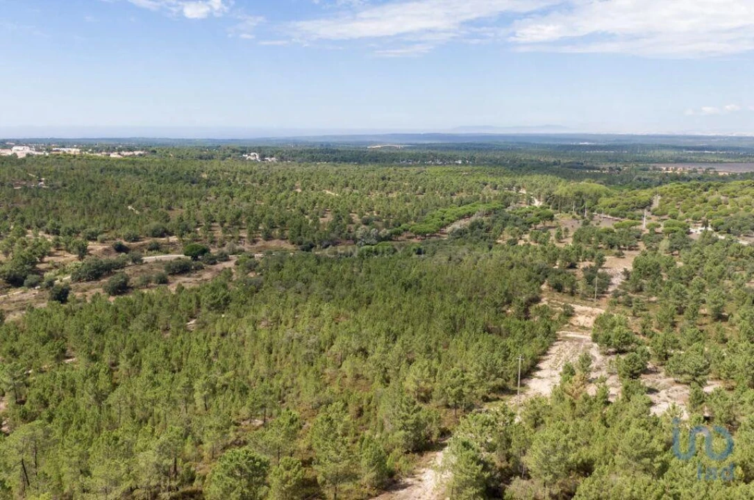 Terreno para Venda em Sesimbra (Castelo) Foto 5