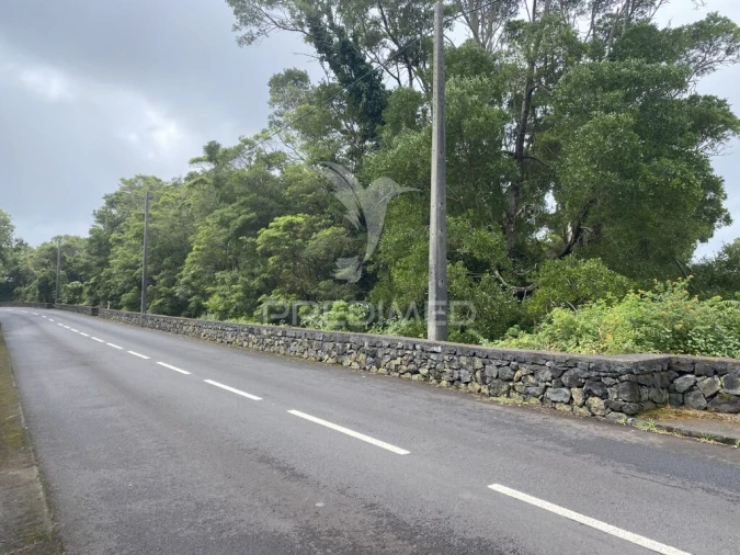 Terreno para Venda em Urzelina (São Mateus) Foto 16