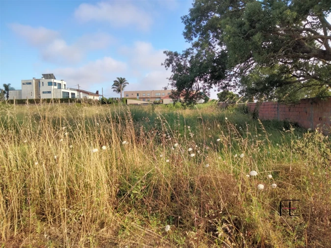 Terreno para Venda em São Felix da Marinha Foto 4