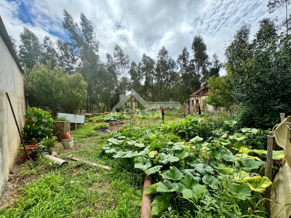 Moradia T2 para Venda em São Miguel do Souto e Mosteirô Foto 4