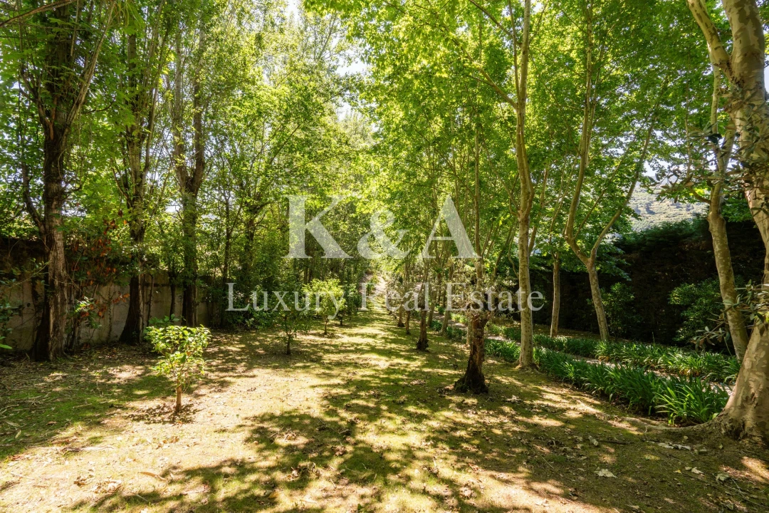 Quinta T5 para Venda em Santa Cruz do Douro e São Tomé de Covelas Foto 32