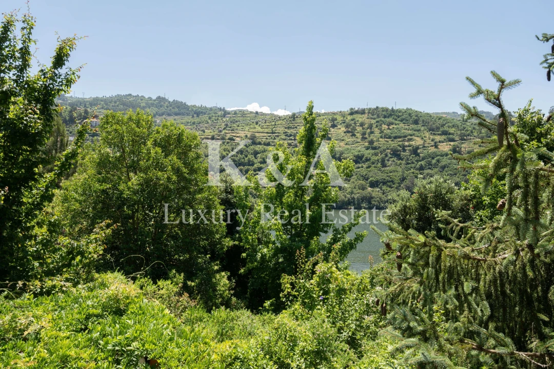 Quinta T5 para Venda em Santa Cruz do Douro e São Tomé de Covelas Foto 39