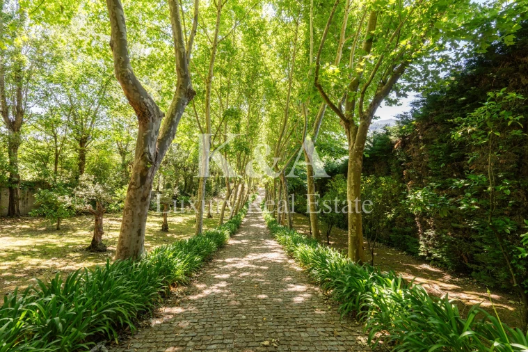 Quinta T5 para Venda em Santa Cruz do Douro e São Tomé de Covelas Foto 2