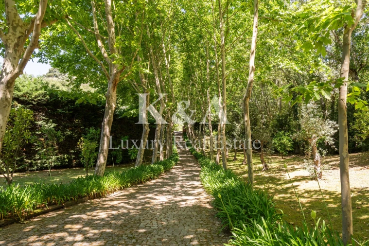 Quinta T5 para Venda em Santa Cruz do Douro e São Tomé de Covelas Foto 31