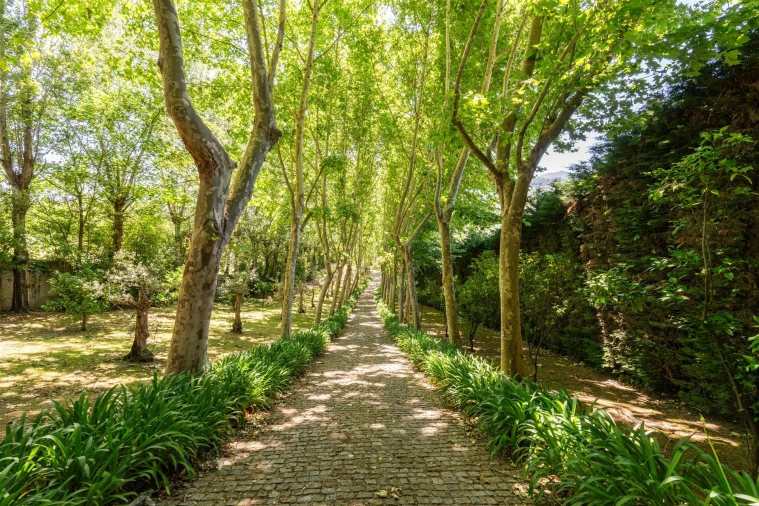 Quinta T5 para Venda em Santa Cruz do Douro e São Tomé de Covelas Foto 41