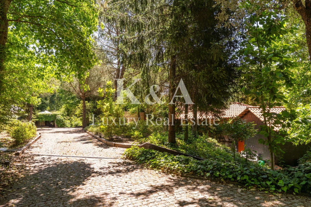 Quinta T5 para Venda em Santa Cruz do Douro e São Tomé de Covelas Foto 33