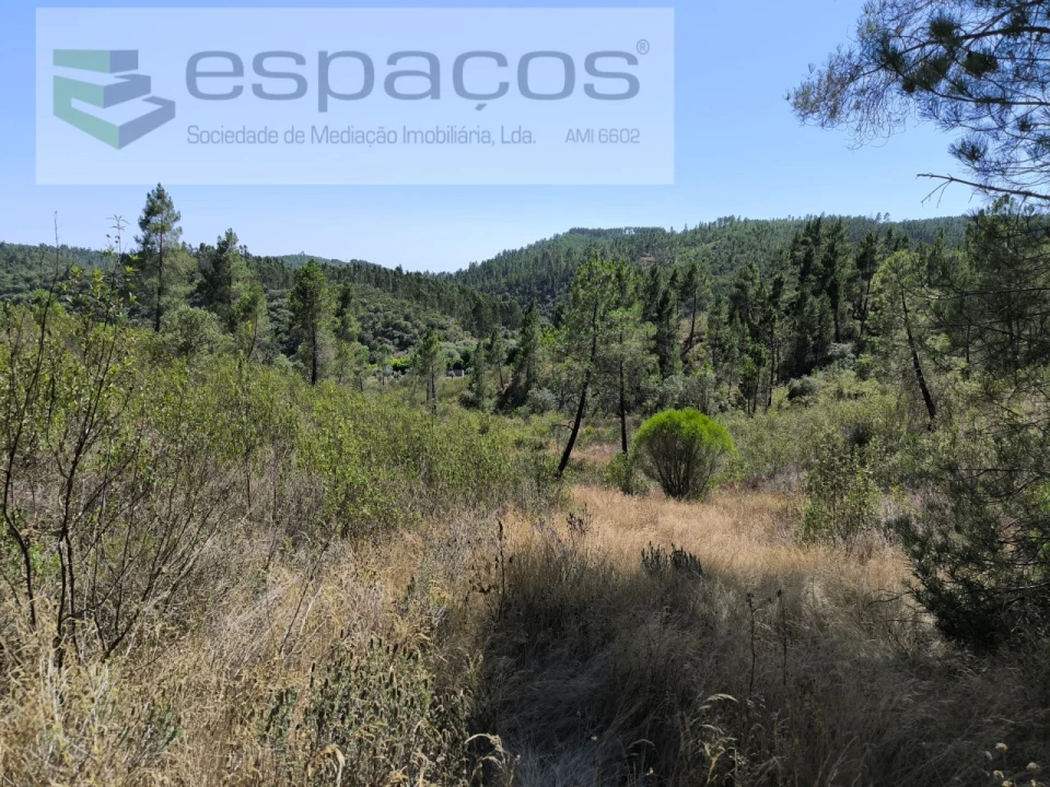 Terreno Agricola ou Rústico para Venda em Sarzedas Foto 2