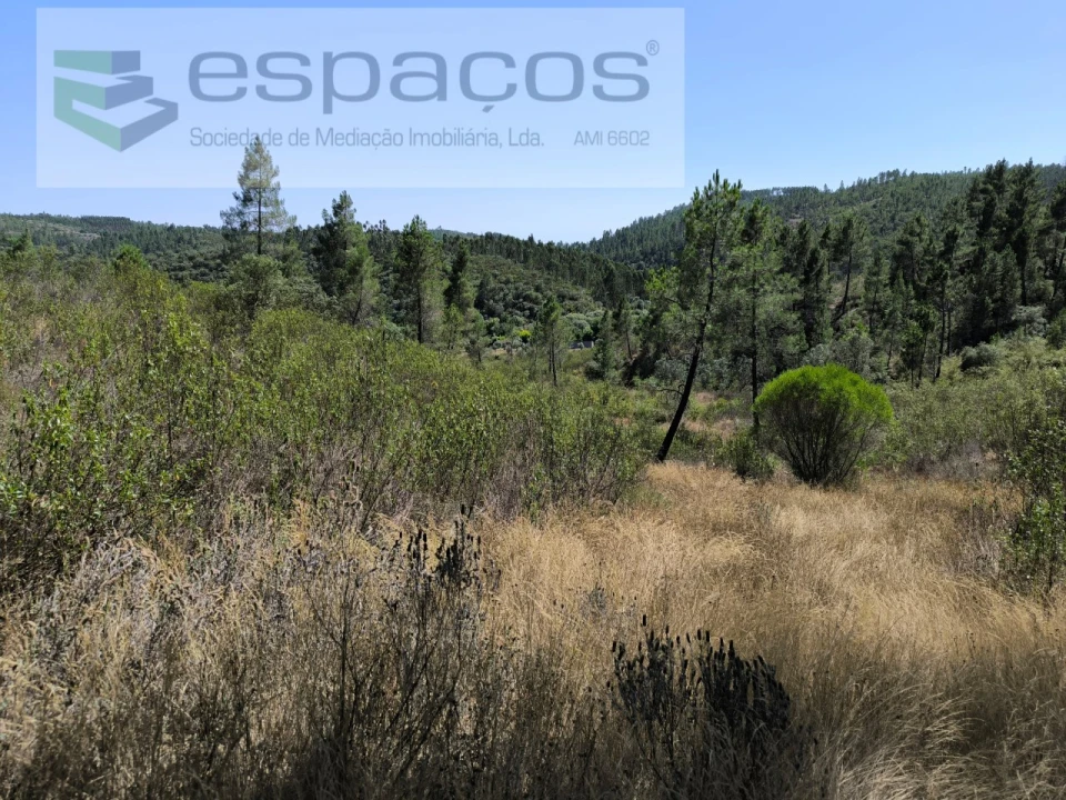 Terreno Agricola ou Rústico para Venda em Sarzedas Foto 4