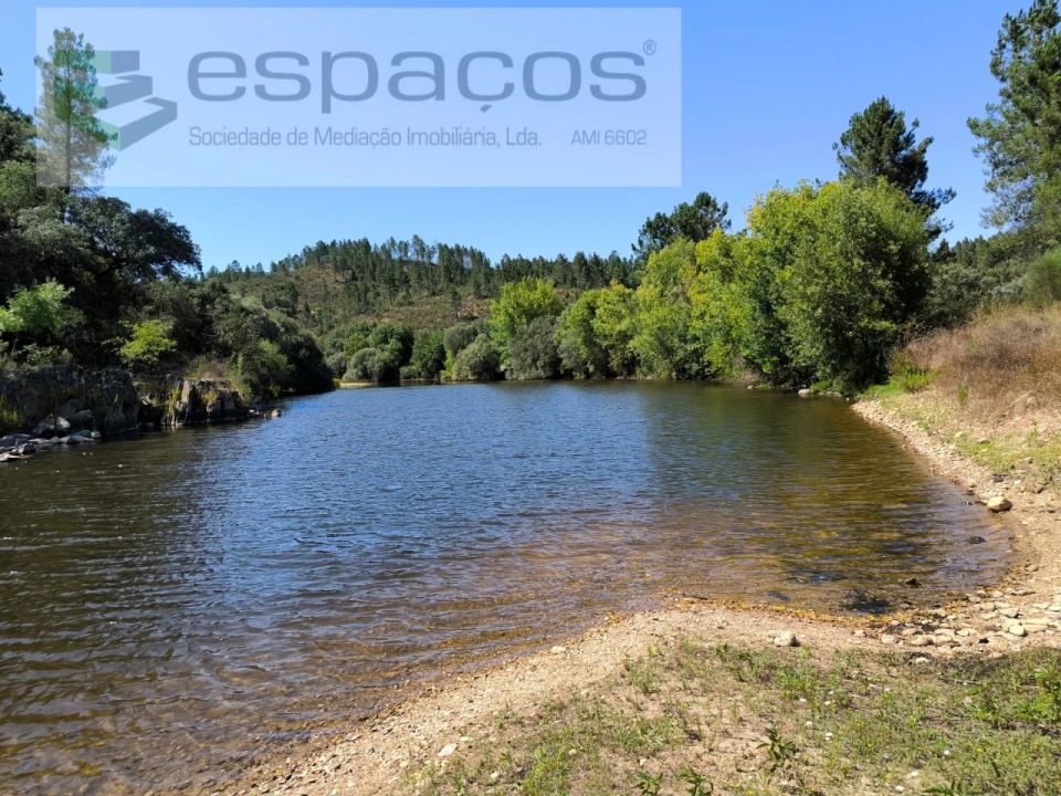 Terreno Agricola ou Rústico para Venda em Sarzedas Foto 5