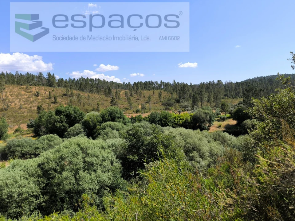 Terreno Agricola ou Rústico para Venda em Sarzedas Foto 6