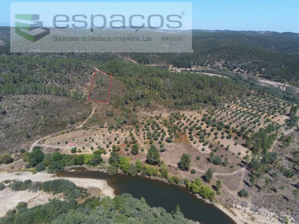 Terreno Agricola ou Rústico para Venda em Sarzedas Foto 1