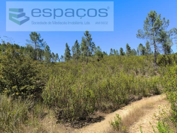 Terreno Agricola ou Rústico para Venda em Sarzedas