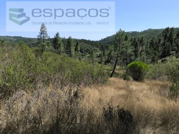 Terreno Agricola ou Rústico para Venda em Sarzedas