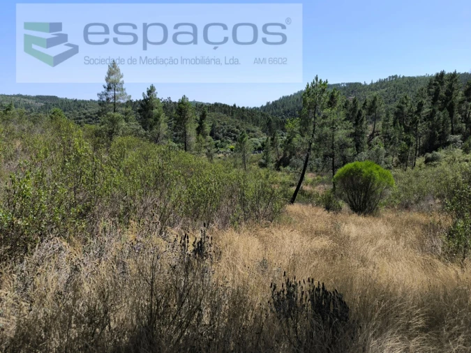 Terreno Agricola ou Rústico para Venda em Sarzedas Foto 4