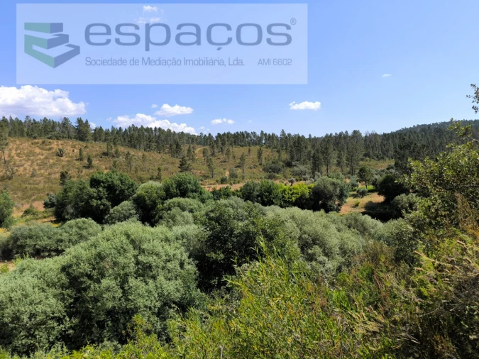 Terreno Agricola ou Rústico para Venda em Sarzedas Foto 6