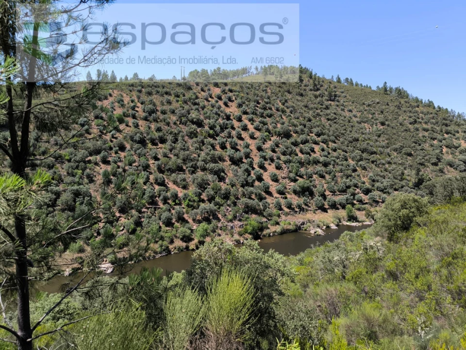 Terreno Agricola ou Rústico para Venda em Sarzedas Foto 1