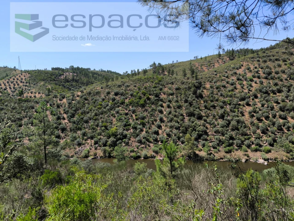 Terreno Agricola ou Rústico para Venda em Sarzedas Foto 2