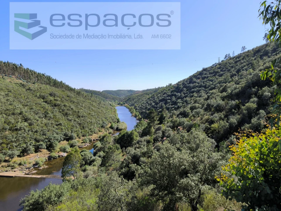 Terreno Agricola ou Rústico para Venda em Sarzedas Foto 3