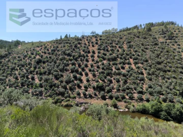 Terreno Agricola ou Rústico para Venda em Sarzedas