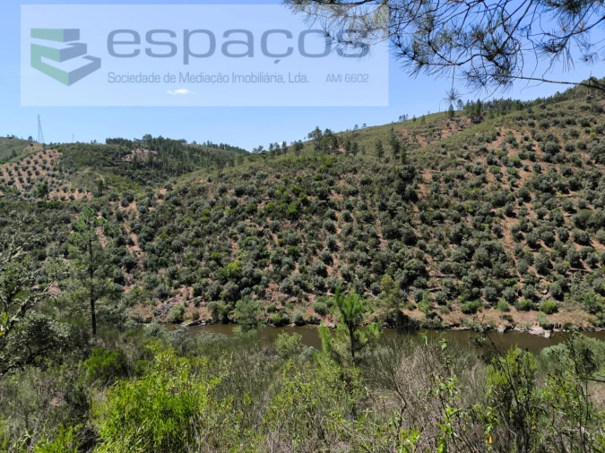 Terreno Agricola ou Rústico para Venda em Sarzedas Foto 2