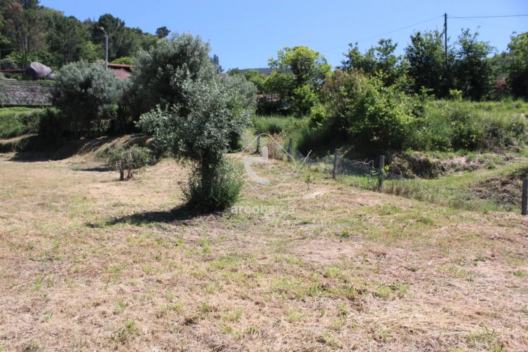 Terreno para Venda em Calheiros Foto 8