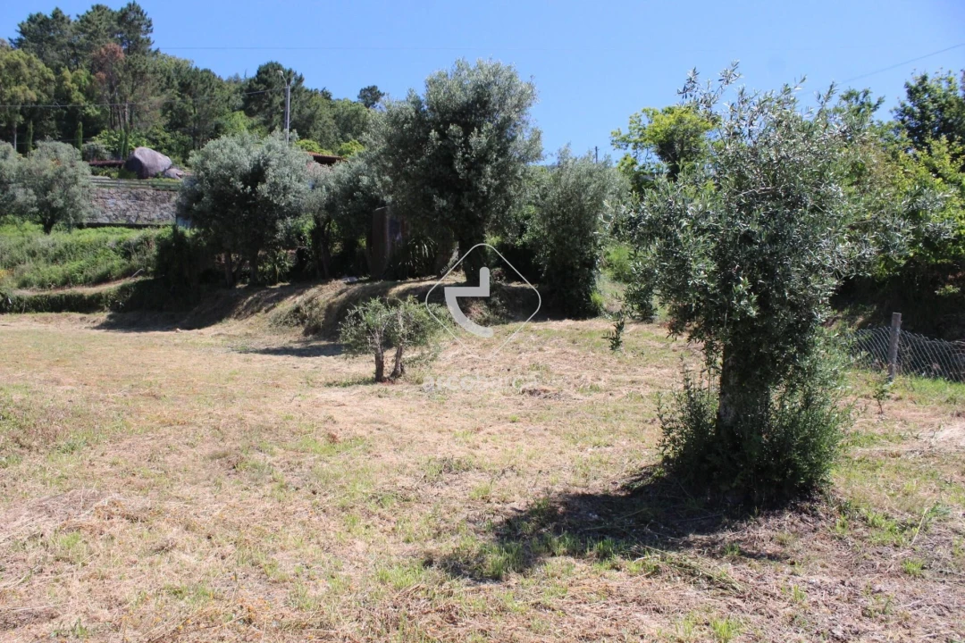 Terreno para Venda em Calheiros Foto 5