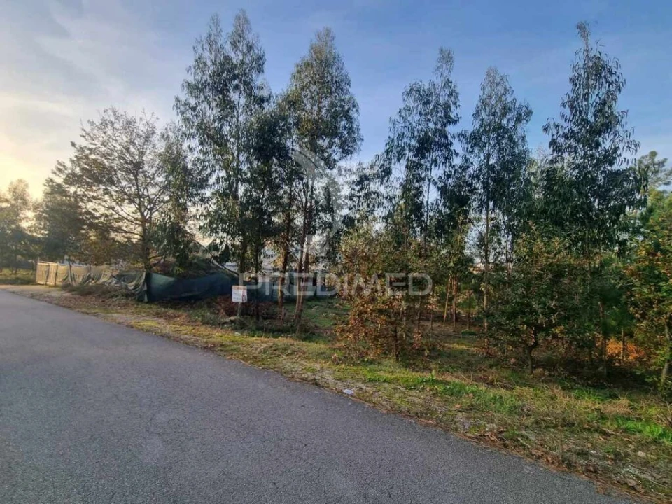 Terreno para Venda em Vila Fria e Vizela (São Jorge) Foto 3