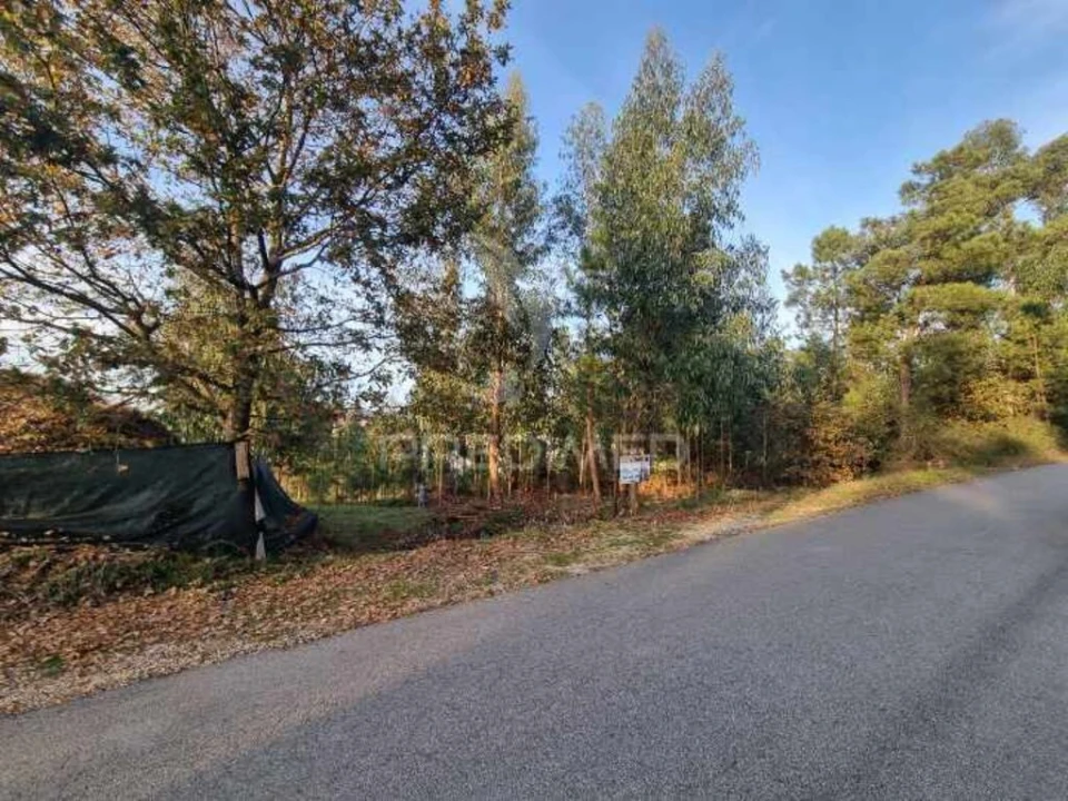 Terreno para Venda em Vila Fria e Vizela (São Jorge) Foto 9