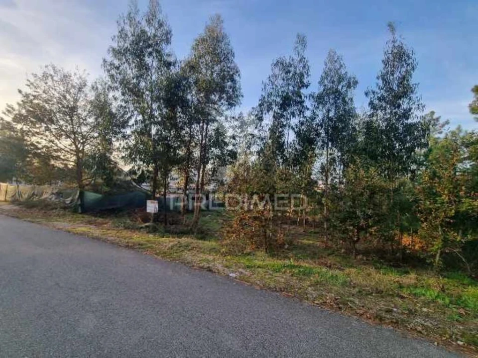 Terreno para Venda em Vila Fria e Vizela (São Jorge) Foto 8