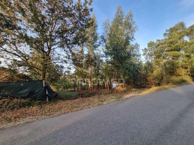 Terreno para Venda em Vila Fria e Vizela (São Jorge) Foto 9