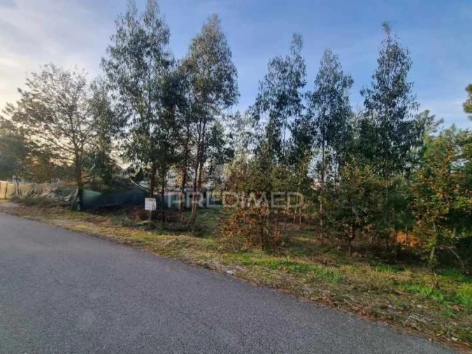 Terreno para Venda em Vila Fria e Vizela (São Jorge) Foto 8