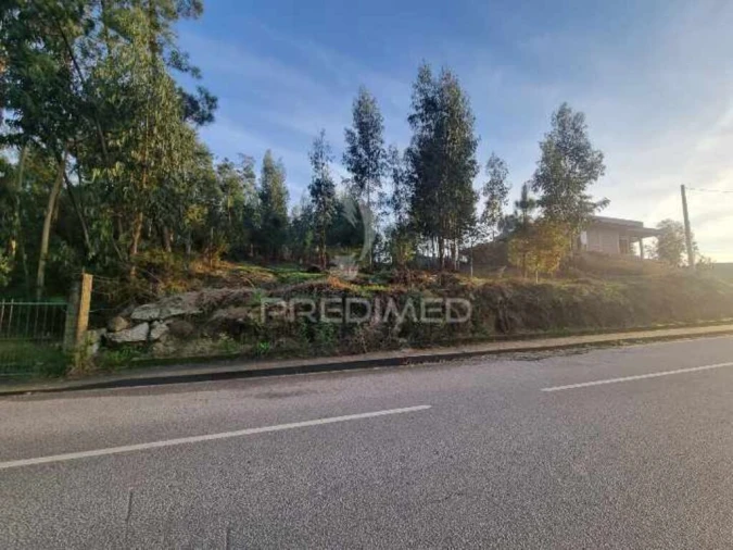 Terreno para Venda em Vila Fria e Vizela (São Jorge) Foto 7