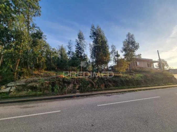 Terreno para Venda em Vila Fria e Vizela (São Jorge) Foto 5