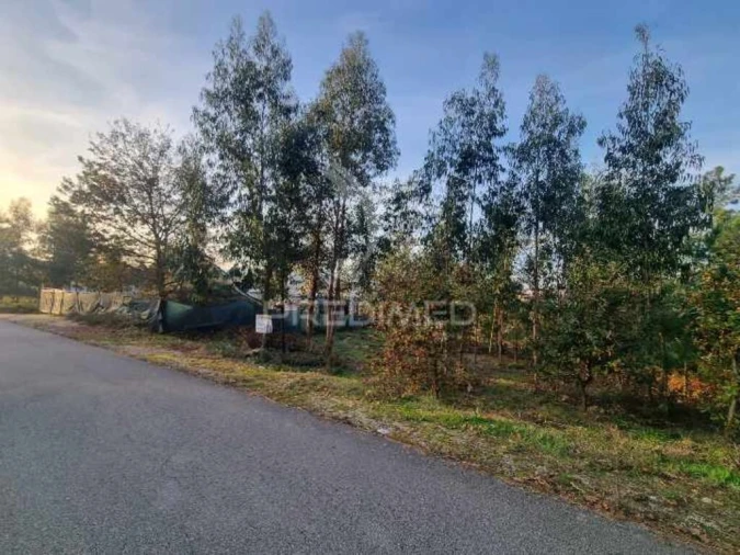 Terreno para Venda em Vila Fria e Vizela (São Jorge) Foto 6