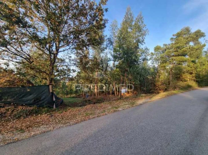 Terreno para Venda em Vila Fria e Vizela (São Jorge) Foto 2