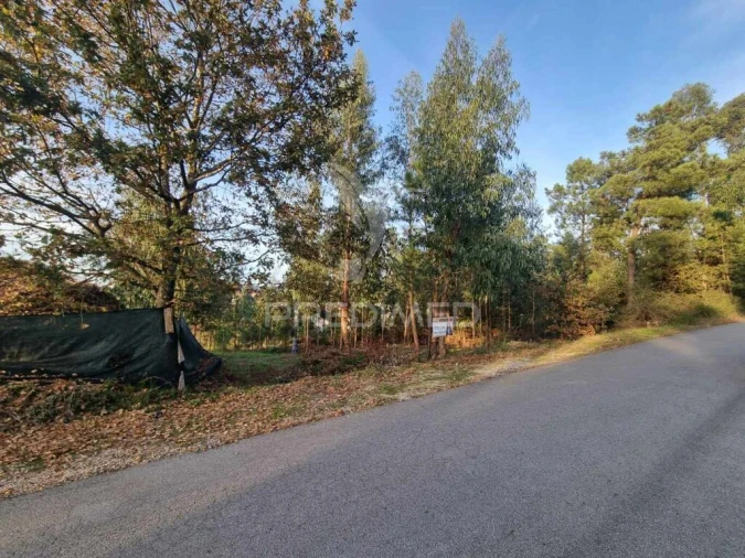 Terreno para Venda em Vila Fria e Vizela (São Jorge) Foto 4