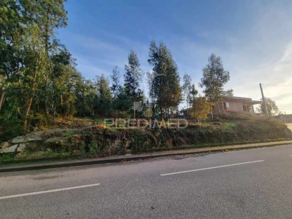 Terreno para Venda em Vila Fria e Vizela (São Jorge) Foto 5