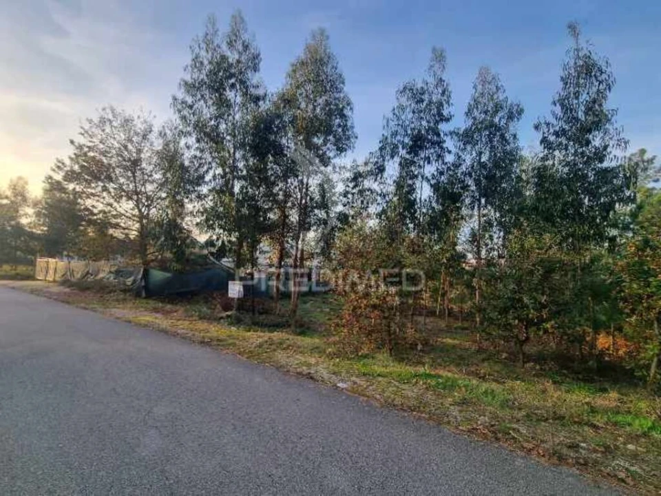 Terreno para Venda em Vila Fria e Vizela (São Jorge) Foto 6