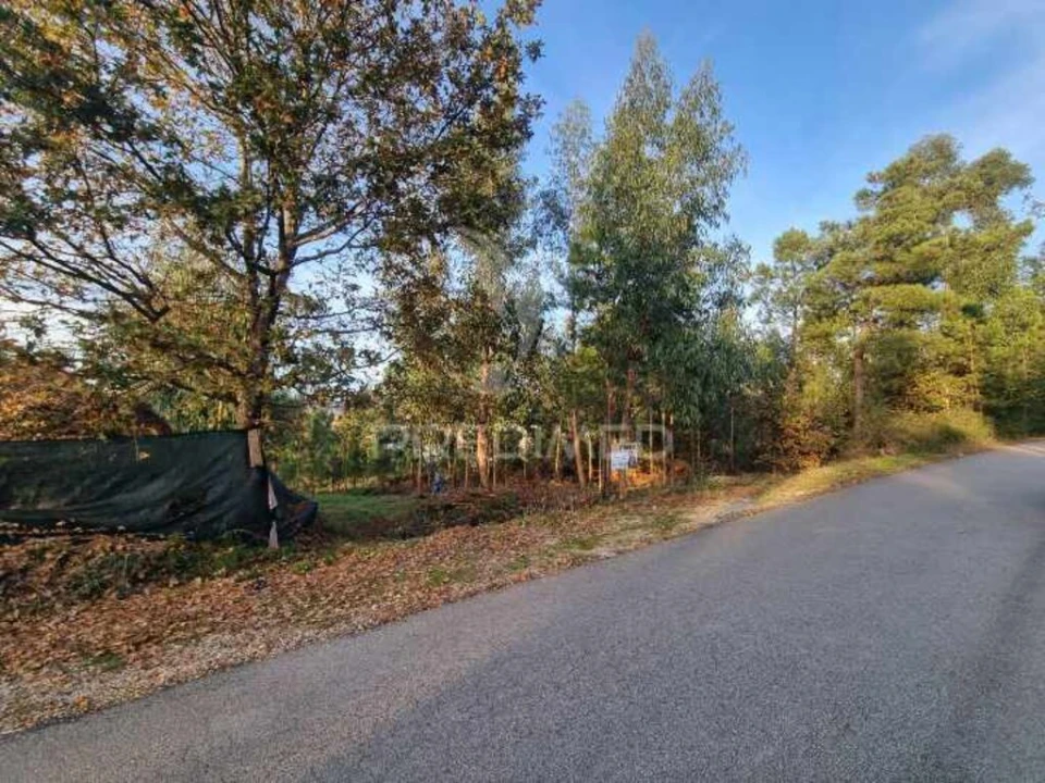 Terreno para Venda em Vila Fria e Vizela (São Jorge) Foto 2