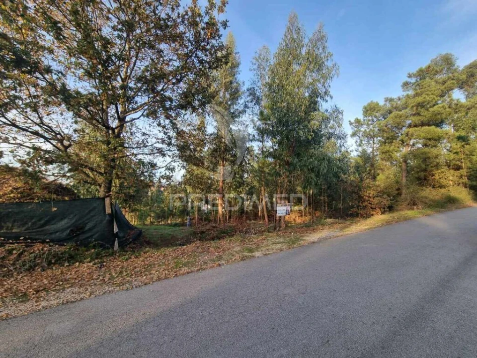 Terreno para Venda em Vila Fria e Vizela (São Jorge) Foto 4