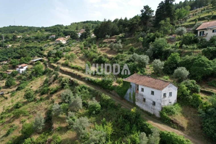 Moradia T2 para Venda em Sé, Santa Maria e Meixedo Foto 10