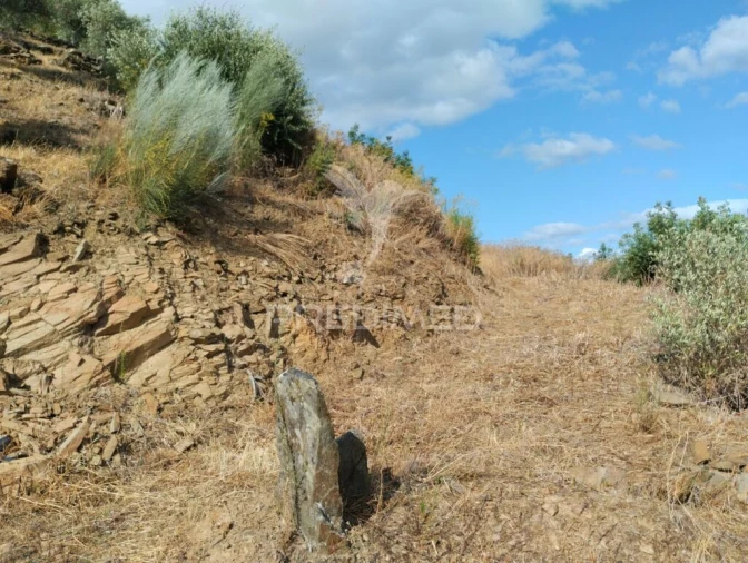 Terreno para Venda em Galafura e Covelinhas Foto 3